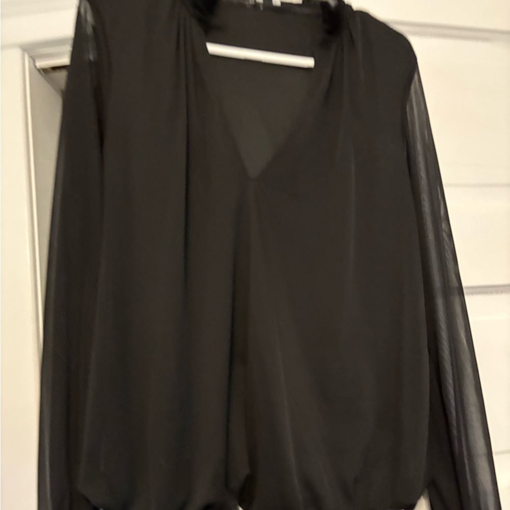 Express Black Sheer-Sleeve V-Neck Blouse